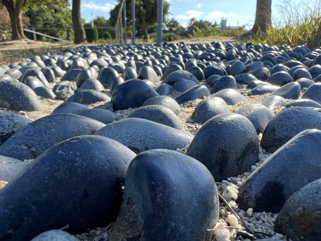 茨木で親子・子供（幼児）にオススメの公園  若園公園