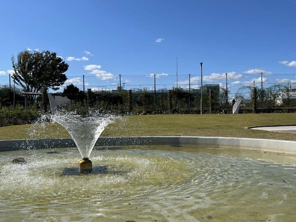 茨木で親子・子供（幼児）にオススメの公園  若園公園 バラ園