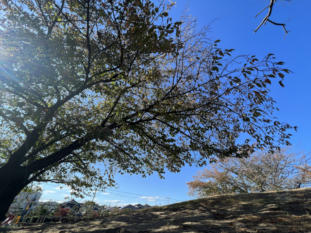 茨木で親子・子供（幼児）にオススメの公園  水尾公園