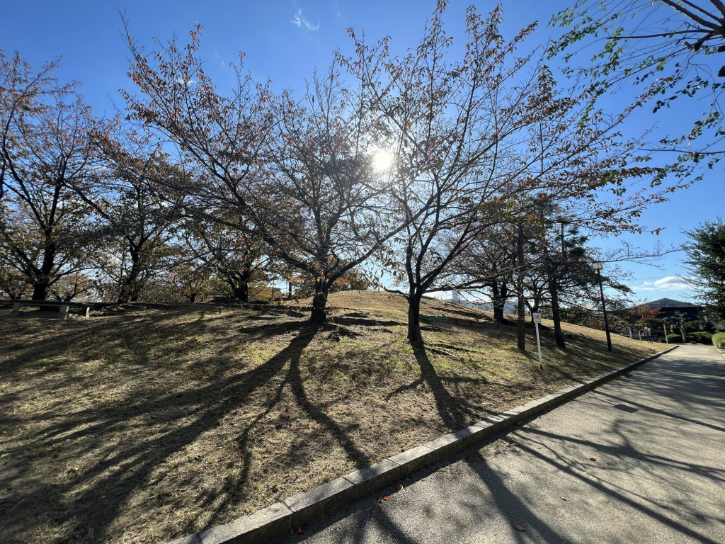茨木で親子・子供（幼児）にオススメの公園  水尾公園