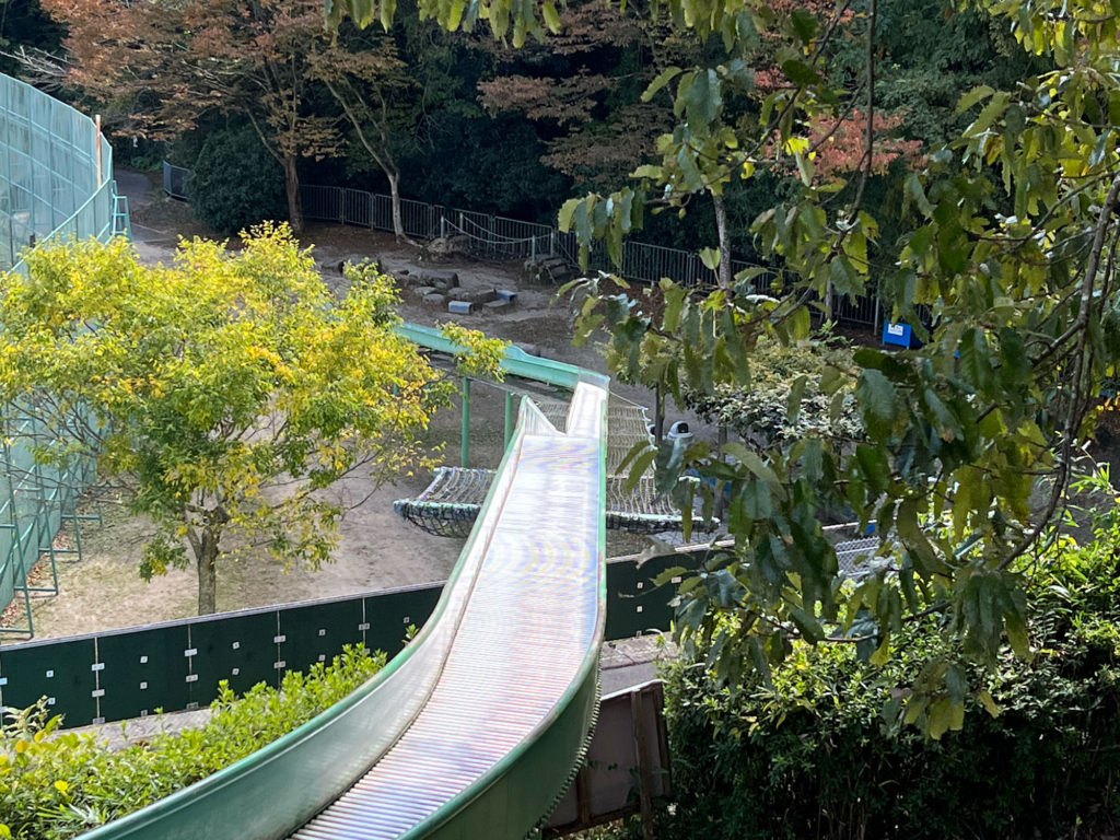 忍頂寺スポーツ公園 子供　ローラースライダー